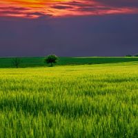 sonnenuntergangquaklein